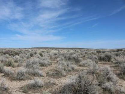 20-Acres-For-Sale-Christmas-Valley-Oregon-Off-Twilight-Road-Lot-800-6