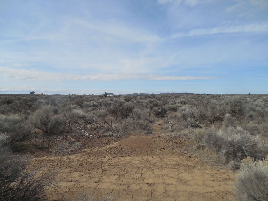 4-Acres-For-Sale-Christmas-Valley-OR-Millican-Road-Lot-1700-8